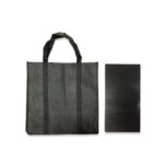 FG-102 100 gsm Non - Woven Bag with PVC Base